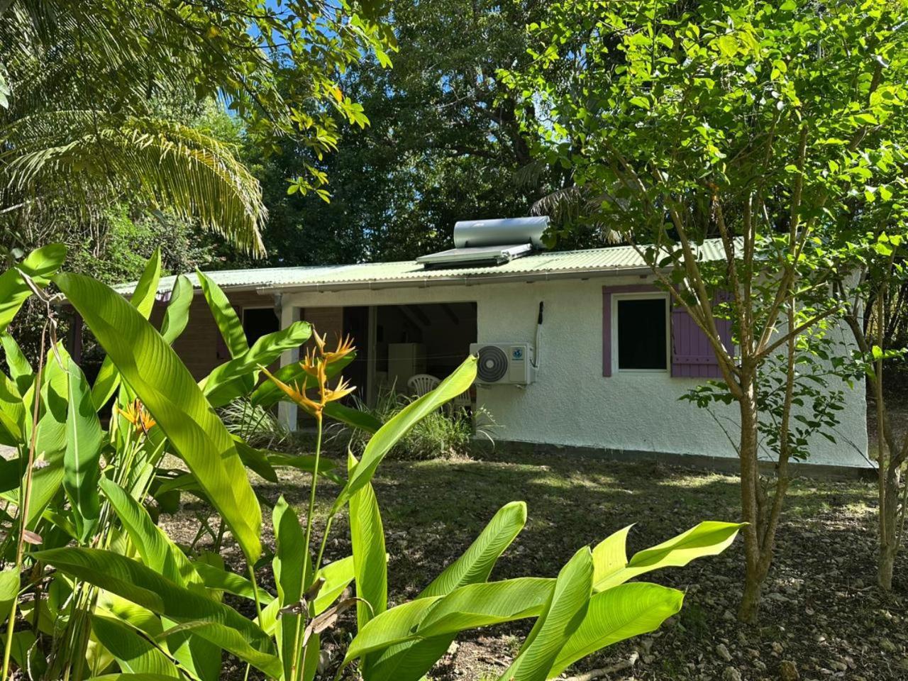 Villa Gwada Reves Sainte-Anne  Exterior foto